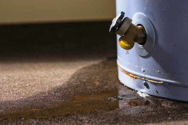 Best Mold removal after water damage  in Pulaski, NY