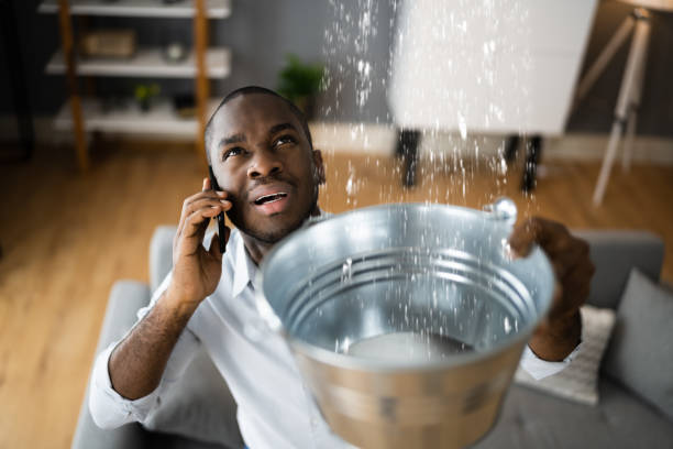 Best Flood damage cleanup  in Pulaski, NY