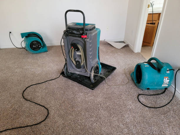 Best Ceiling water damage repair  in Pulaski, NY