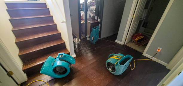Best Water damage restoration near me  in Pulaski, NY