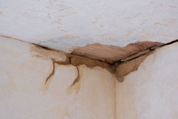 Best 24-hour water damage restoration  in Pulaski, NY