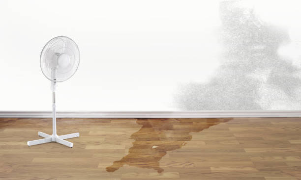 Best 24/7 water damage repair  in Pulaski, NY
