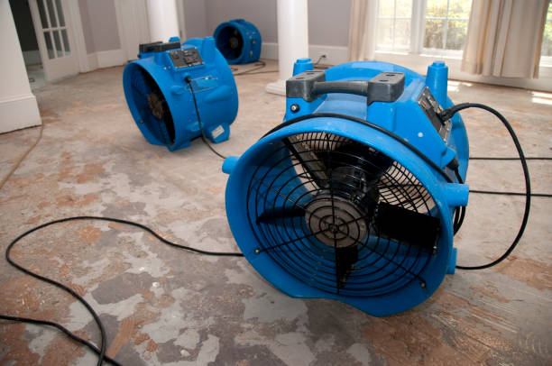 Best Carpet water damage restoration  in Pulaski, NY
