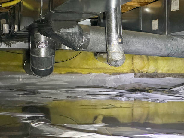 Best Basement water damage restoration  in Pulaski, NY