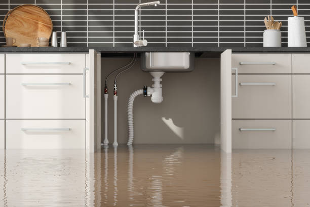 Best Sewage cleanup and water damage restoration  in Pulaski, NY