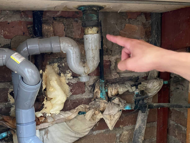 Best Water damage contractors near me  in Pulaski, NY