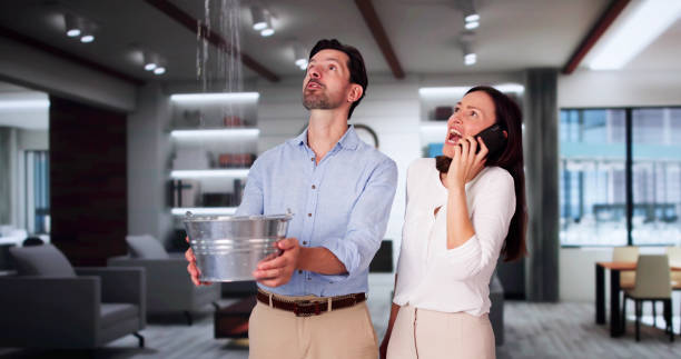 Best Water damage cleanup near me  in Pulaski, NY